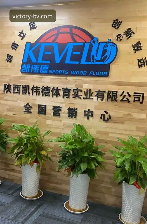 深度揭秘伟德体育官网：安卓版下载背后的完整生态与用户真实体验